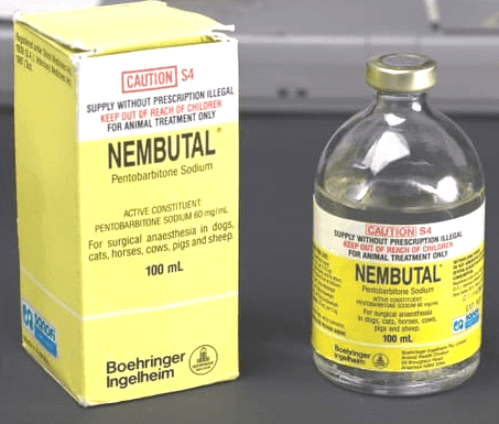 1465-Nembutal-100ml-1.png